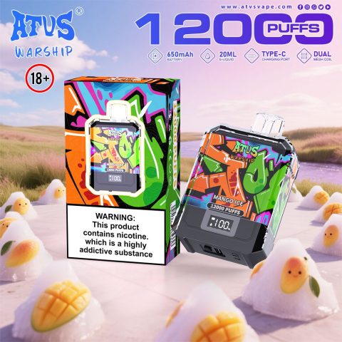 DE013A E-papierosy jednorazówka 12000 Puffs z wyświetlaczem LED i regulowanym przepływem powietrza