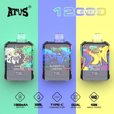DE013A E-papierosy jednorazówka 12000 Puffs z wyświetlaczem LED i regulowanym przepływem powietrza