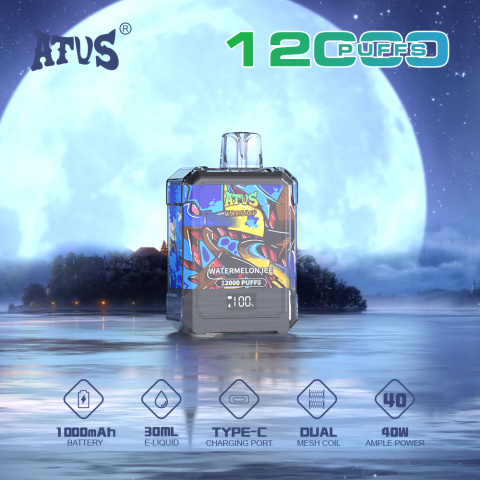 DE013A E-papierosy jednorazówka 12000 Puffs z wyświetlaczem LED i regulowanym przepływem powietrza