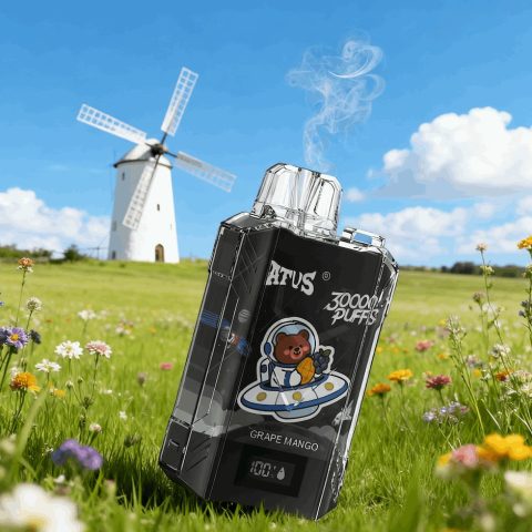 DE017 E-papierosy jednorazówka 30000 Puffs z wyświetlaczem LED i regulowanym przepływem powietrza, ładowany ATVS Vape