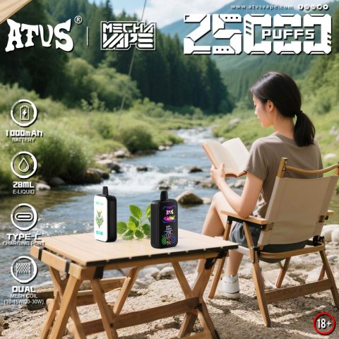 DE021 E-papierosy jednorazówka 30000 Puffs z wyświetlaczem LED i regulowanym przepływem powietrza MTL DTL ATVS Vape